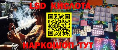 круглые Владимир