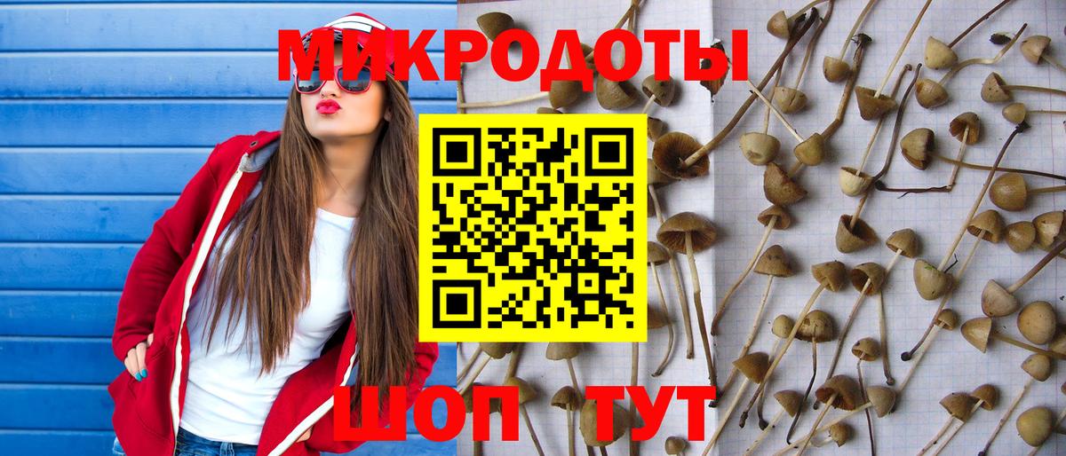Псилоцибиновые грибы мухоморы  Вход с VPN  Благодарный 